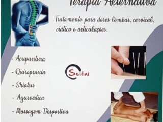 Quiropraxia e Shiatsu Jacarepagu massagem e drenagem linftica no [***] 