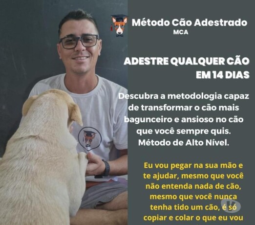 curso-metodo-co-adestradode-70-viedo-aulas-por-12x-r968-planalto-uruguai-cursos-no-327623559-big-0