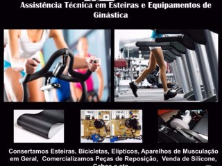 Conserto de Esteiras e Equipamentos Fitness Itapevi Servicos especializados no [***] 