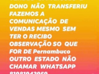 Despachante recife Pernambuco Recife PE Servicos especializados no [***] 