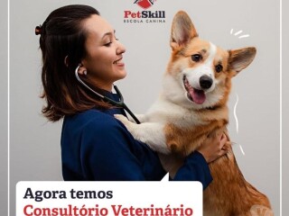 Vacinaco e consultas veterinrias Maringa PR Pet shops e veterinrios Maringa PR no [***] 