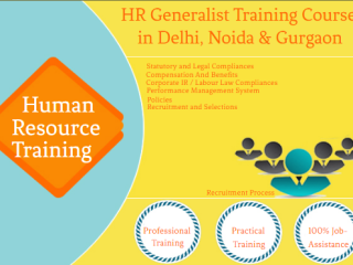 best-hr-generalist-course-in-delhi-110034-hr-analyst-institute-new-year-offer-2025-by-sla-consultants-india-100-job-guarantee