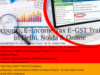 accounting-course-in-delhi-110019-sla-gst-and-accounting-institute-taxation-and-erp-tally-prime-institute-in-delhi